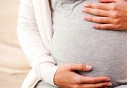 زنان باردار و مادران شیرده اصفهانی به صورت رایگان بیمه سلامت می‌شوند