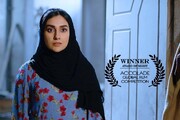 فیلم «انگشتر» نشان ویژه شایستگی جایزه سینمایی آمریکا را به دست آورد