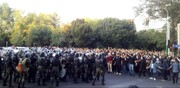 با برچسب زدن به معترضین درخت نفرت پربارتر می‌شود