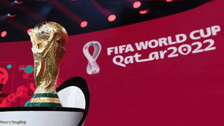 از پلیس جام جهانی قطر رونمایی شد