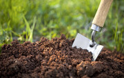 هوش مصنوعی می‌تواند رطوبت خاک را پیش بینی کند