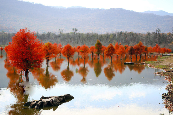 طبیعت رنگارنگ پاییز