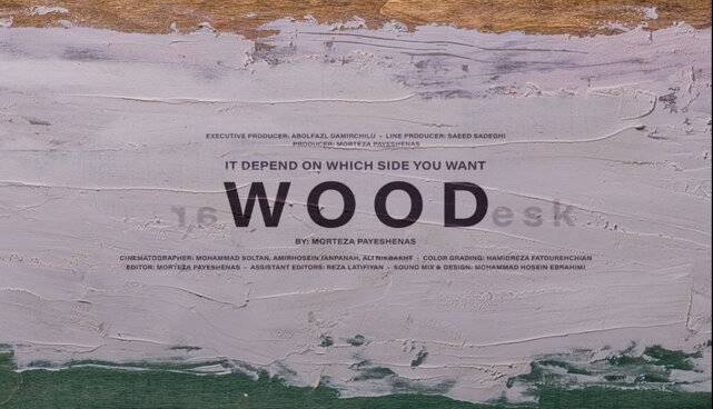 مستند «چوب» ه بجشنواره فیلم‌های خیلی کوتاه فرانسه می‌رود