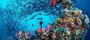 ایران معاون کنوانسیون حفاظت از میراث فرهنگی زیر آب یونسکو شد