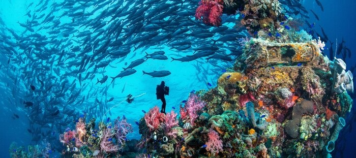 ایران معاون کنوانسیون حفاظت از میراث فرهنگی زیر آب یونسکو شد