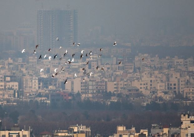 ببینید/ میزان شدت آلودگی هوا در مشهد